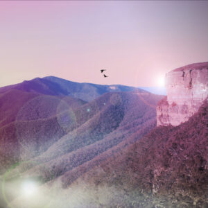 Purple Mountains Kanangra