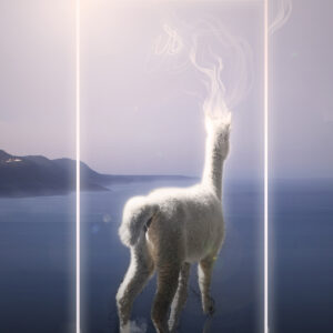 Alpaca Door