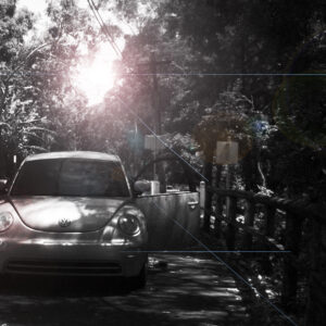 Beetle BW