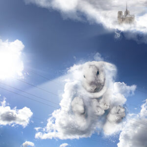 Cloud Bunny