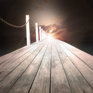 Bridge Dark