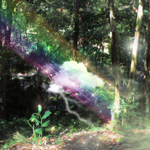 Jungle Cloud