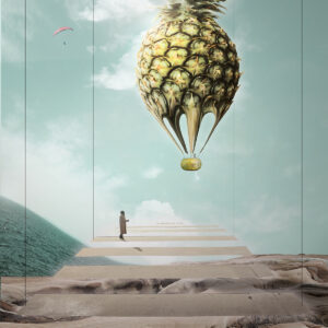 Pineapple Hot Air Balloon