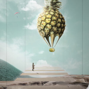 Pineapple Hot Air Balloon Photo Print