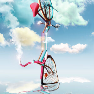Bicycle Stand