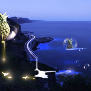 Seacliff Mess