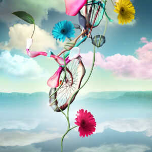 Bicycle Balloon
