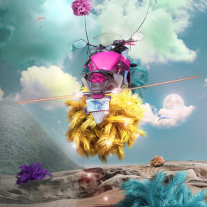 Bike Feather Ball