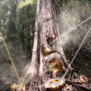 Doughnut Tree