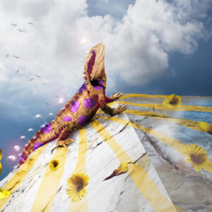 Party Lizard