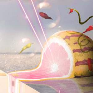 Waterlemon