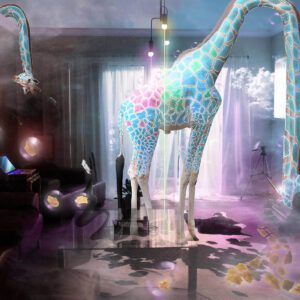 Indoor Giraffe