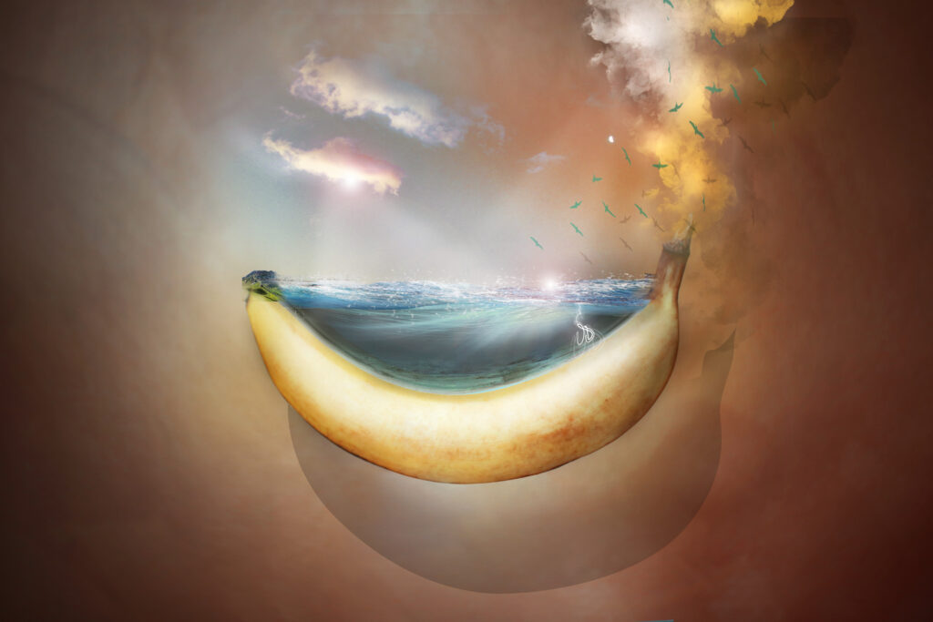 Ocean Banana