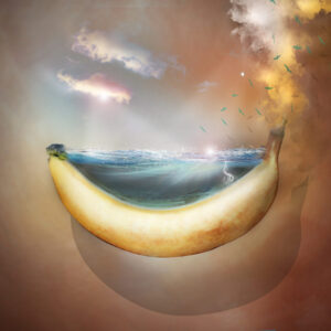 Ocean Banana