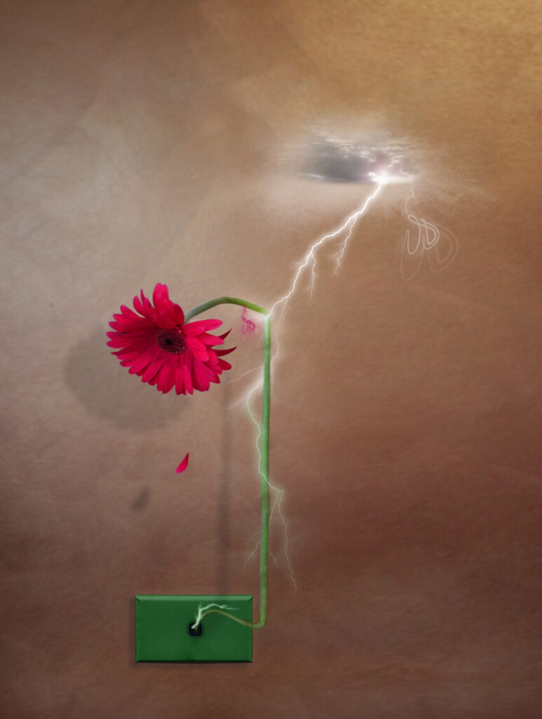 Flower Plug