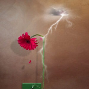 Flower Plug