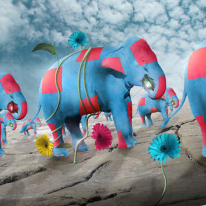 Party Stampede Photo Print - Blue