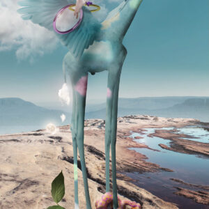 Pegasus, Giraffe Style