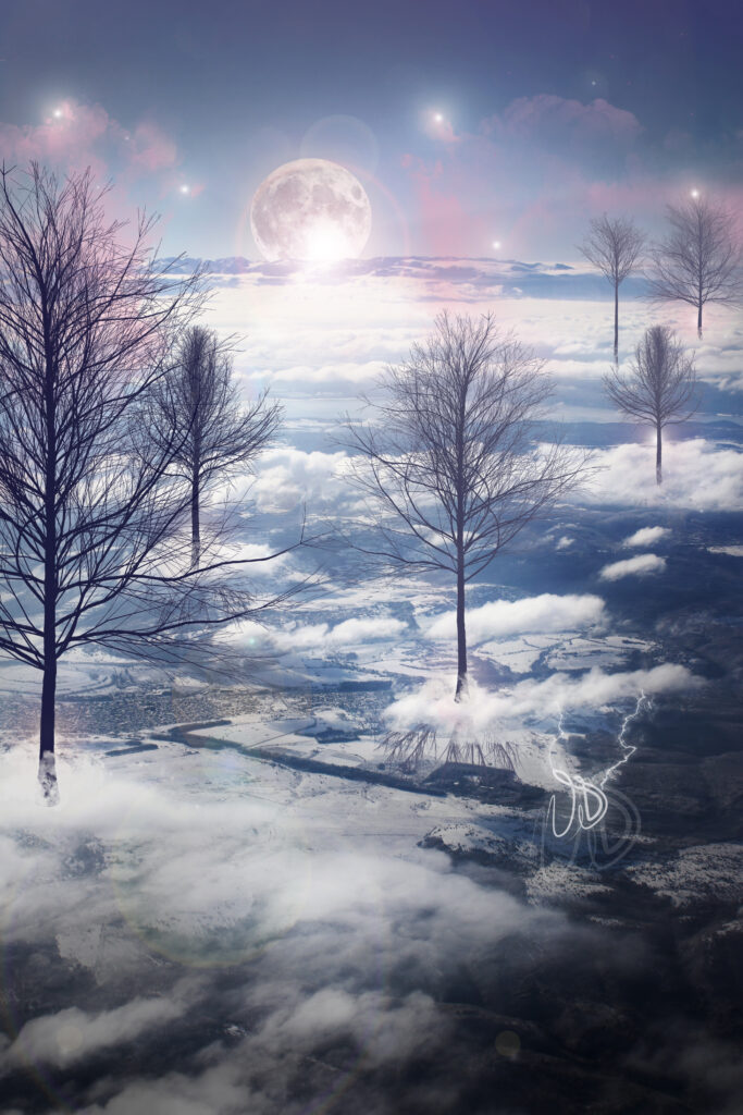 Sky Trees