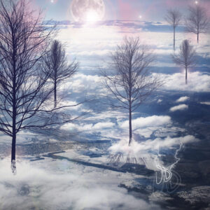 Sky Trees