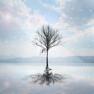 Blue Tree