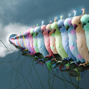 How Rainbows are Made