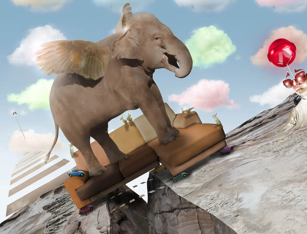 Elephant Moving Home