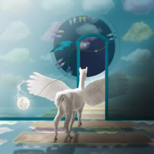 Alpaca's Calling