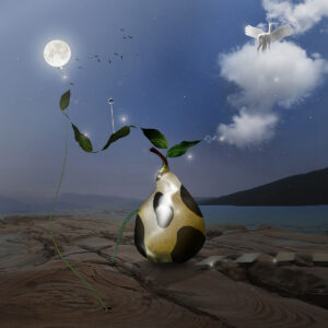 Pear Recreation