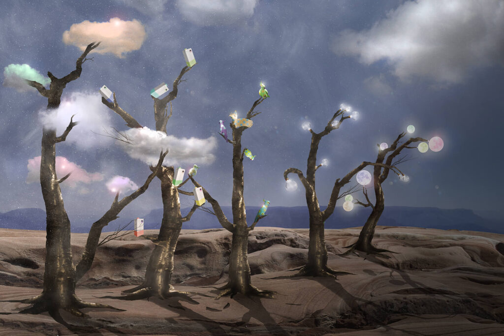 Tree Lineup