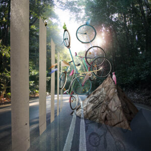 Bicycle Ride