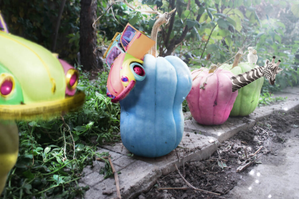 Furry Car on Pumpkins